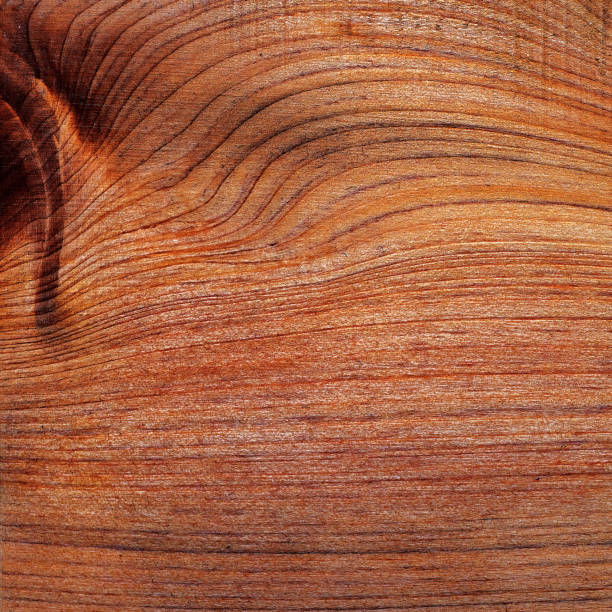 Beautiful wood grain. Wood background. Wood grain pattern texture background