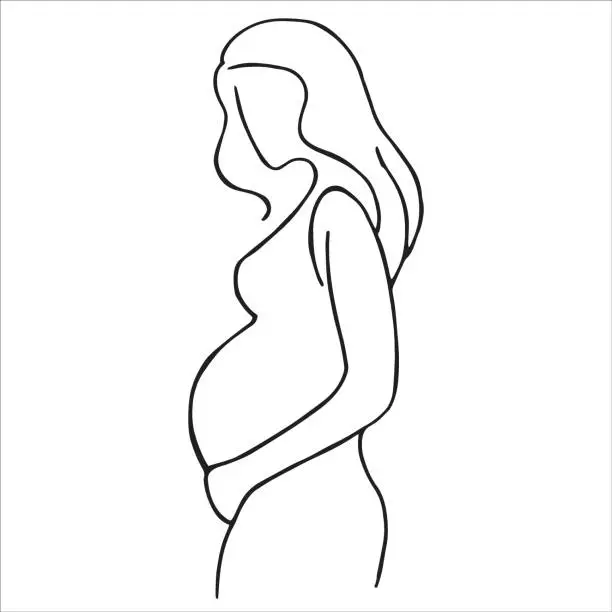 Vector illustration of vector drawing, the contour of a pregnant woman, a simple stylized drawing on the theme of motherhood, childbirth