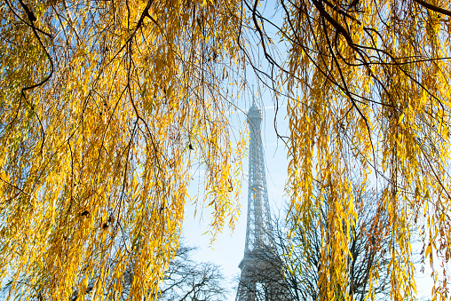 The Eiffel Tower in Paris, France - Black and White