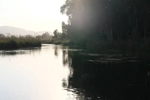 Photo of natural background of  fresh water flow in azmak river, mugla, turkey surrounded by trees