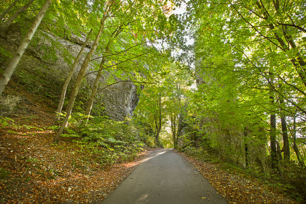 istock Autumn landscape with rock 1864881657