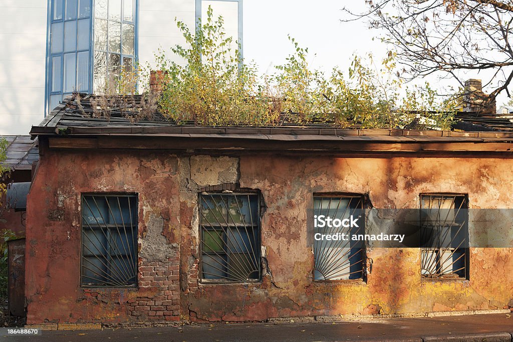 Abandonado old excusado exterior con cultivo de árboles en el último piso - Foto de stock de Abandonado libre de derechos