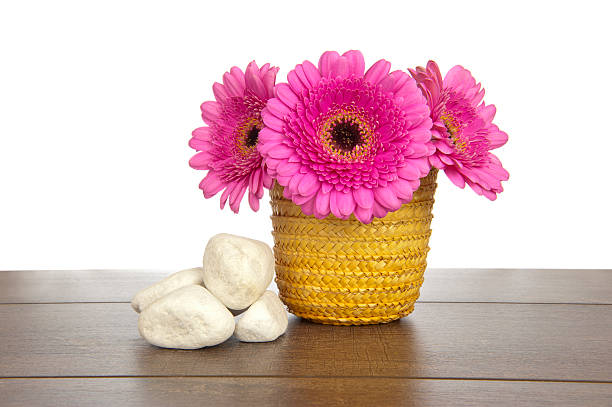 istock Pink Gerbera in yellow basket with white rocks 186488715