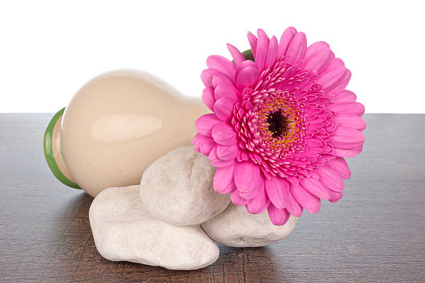 istock Pink Gerberas in vase on rocks 186488739