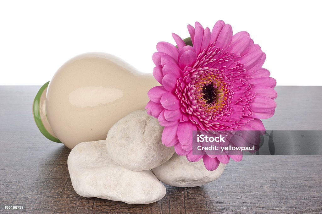 Gerberas cor de rosa em vaso com gelo - Foto de stock de Amontoamento royalty-free