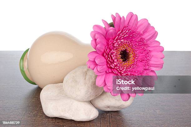 Foto de Gerberas Cor De Rosa Em Vaso Com Gelo e mais fotos de stock de Amontoamento - Amontoamento, Arranjo, Artigo de decoração