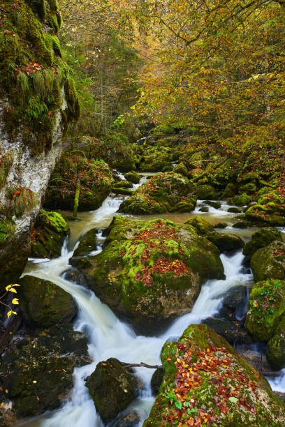 istock Autumn landscape with river in a gorge 1864896457