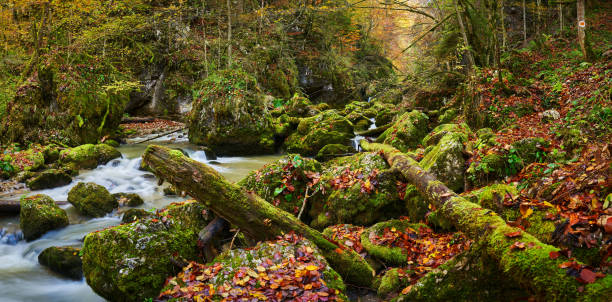 istock Autumn landscape with river in a gorge 1864896460