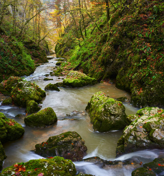 istock Autumn landscape with river in a gorge 1864896476