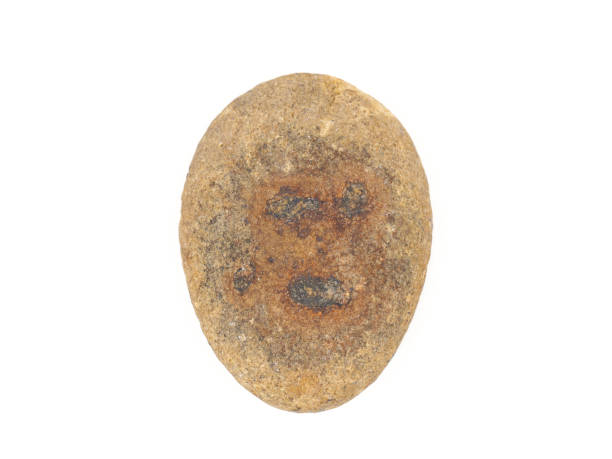 istock Neanderthal face painted on a stone isolated on white background 1864899121