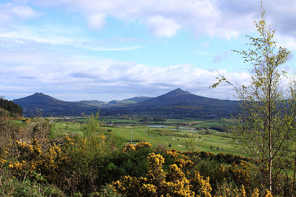 istock Plain at the foot of Kilmacanogue Hill 186490712