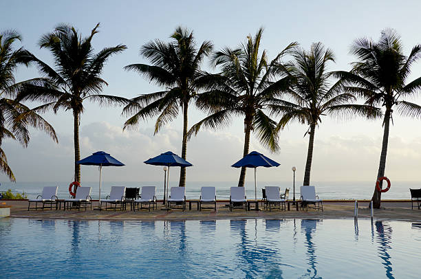 istock palm trees at beach resort pool 186491110