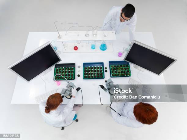 Insegnante E Studenti Nel Laboratorio - Fotografie stock e altre immagini di Agricoltura - Agricoltura, Ambiente, Analizzare