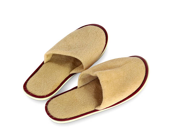 istock Casual home slippers on white background 186494629