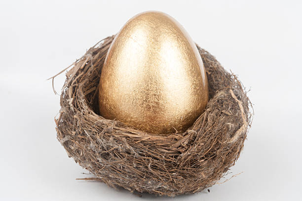 istock Golden egg in bird nest 186495471