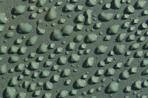 Rain water on green leaf macro.Beautiful drops and leaf texture in nature.Natural background in rainy season.