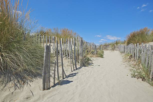 istock Sand path on the beach, France, HDR 186497400