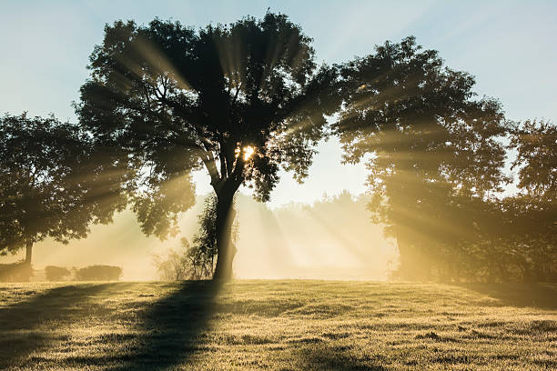 istock Sunrise and fog 186499187