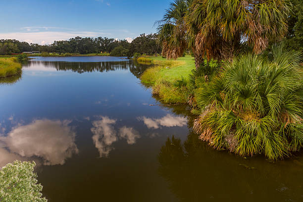 istock City Park, New Orleans 186501936