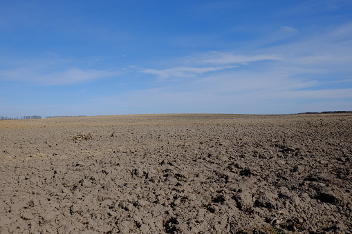 Blue sky over a plowed field. Spring landscape. Agriculture.