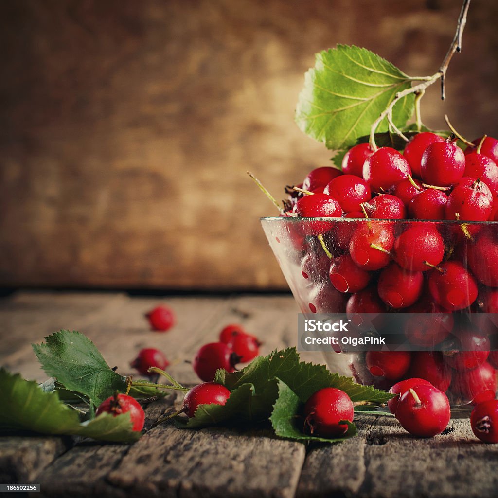 Summer Red Berries Hawthorn, vintage Summer Red Berries Hawthorn, vintage decoration food in the interior Autumn Stock Photo