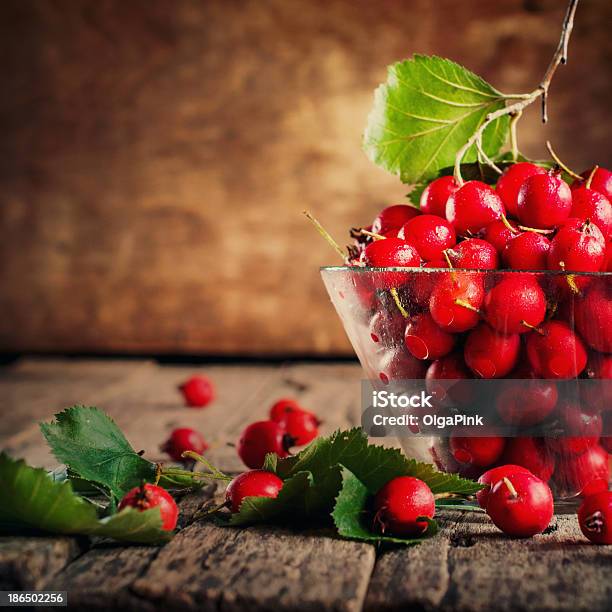 Summer Red Berries Hawthorn Vintage Stock Photo - Download Image Now - Autumn, Backgrounds, Berry Fruit