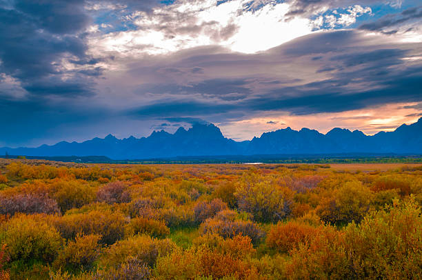 istock Grand Tetons Lanscape 186504463