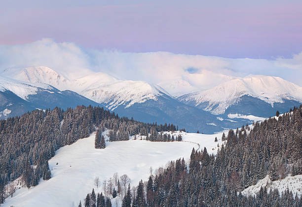 istock Beautiful winter landscape in the Carpathian mountains 186504753