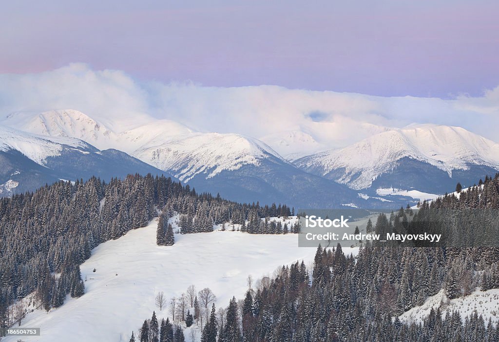 Bela paisagem de inverno nas montanhas Carpathian - Foto de stock de Beleza natural - Natureza royalty-free