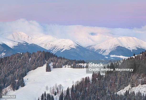 Foto de Bela Paisagem De Inverno Nas Montanhas Carpathian e mais fotos de stock de Beleza natural - Natureza - Beleza natural - Natureza, Bosque - Floresta, Branco