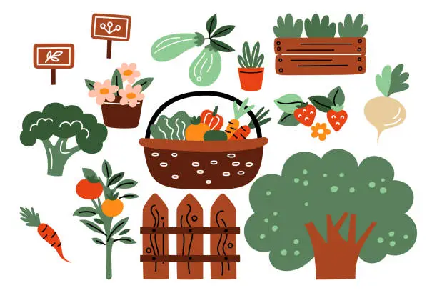 Vector illustration of Garden plants. Vegetable gardening. Food growing. Basket with carrots and tomatoes. Wooden fence. Seedlings in pot. Agriculture cultivation. Broccoli and strawberry. Horticulture vector set