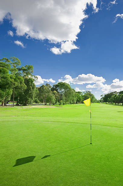 magnifique parcours de golf - sports flag flag shadow golf flag photos et images de collection