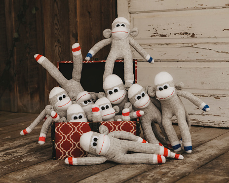 A box filled with adorable, handmade sock monkeys.