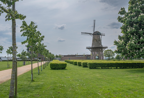 Old windmill in the park against the background of trees and fields