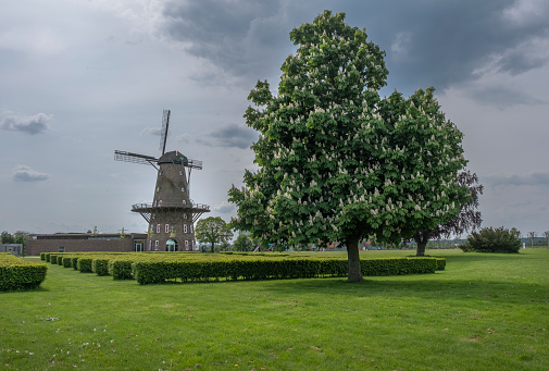 Old windmill in the park against the background of trees and fields