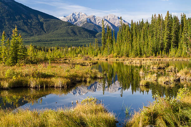 istock Vermillion Lakes Fenland 186509879