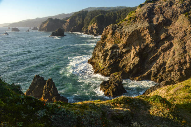 istock Oregon Coast at Indian Sands 1865101548