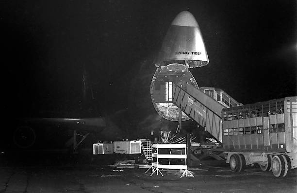 Boeing 747 of the US American cargo airline (photo from 1985) Flying Tiger Line (ceased operations in 1989) stands with open nose flap at Bordeaux airport waiting for its cargo of live horses