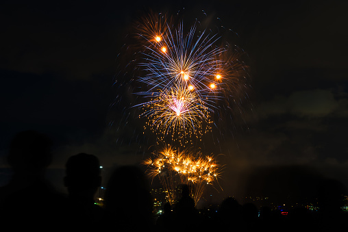 Fireworks at the National Ceremony