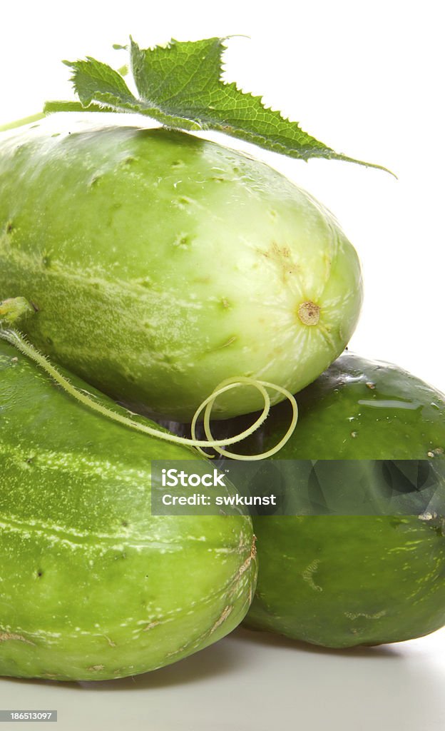 Fresh cucumbers . Fresh cucumbers isolated on white background. Cucumber Stock Photo