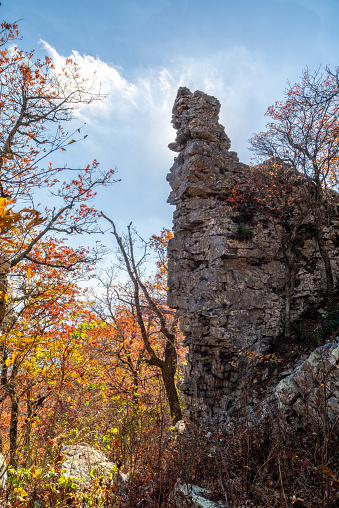 This beautiful rock pinnacle can be found on the South side of Mount Magazine, Arkansas. Backlighting brought out the Autumn colors.