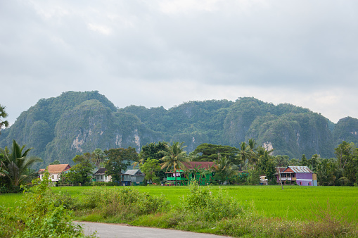 Maros, Indonesia - June 2018 : Karst landscape with limestone domes and rice field.