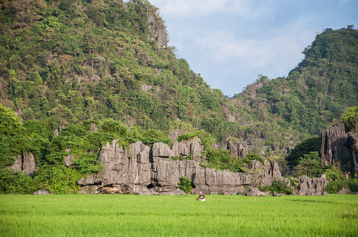 Maros, Indonesia - June 2018 : Karst landscape with limestone domes and rice field.
