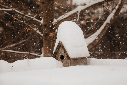 A birdhouse covered in snow.
