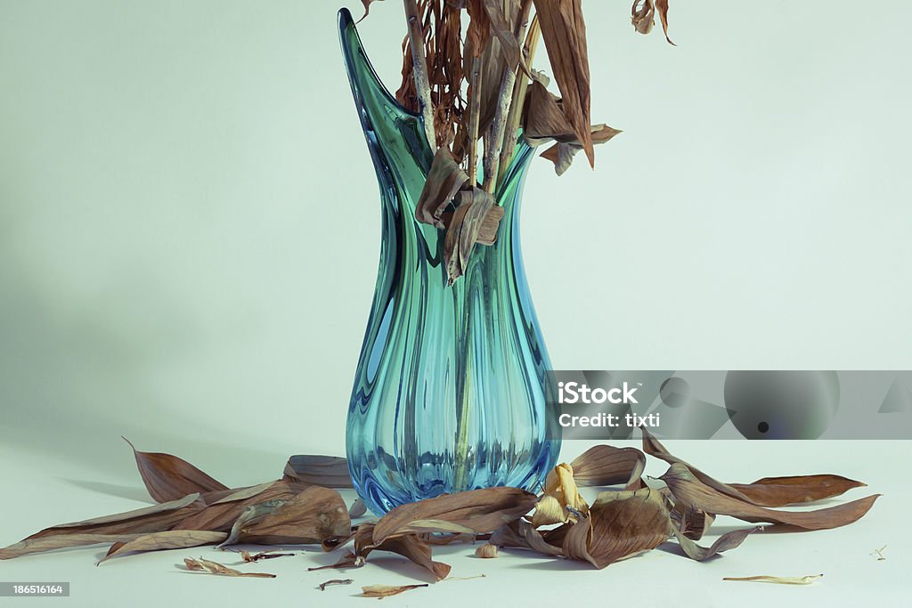 Fallen leaves alrededor de un jarrón - Foto de stock de Alimentos deshidratados libre de derechos