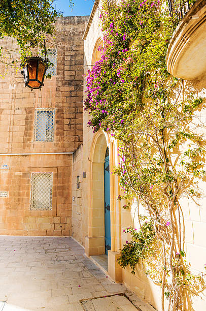 istock Mdina courtyard with fuchsiaflowers, malta 186516691