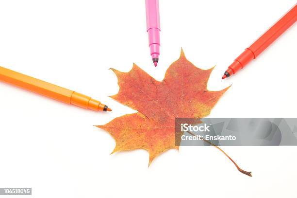 Cor Feltro E Deixe Em Um Fundo Branco - Fotografias de stock e mais imagens de Arranjo - Arranjo, Caneta, Caneta de Feltro