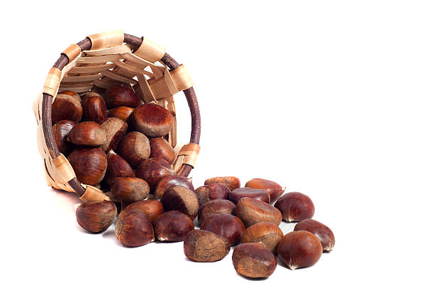 корзина chestnuts, осенний фрукты, изолированные на белом - chestnut basket large group of objects isolated стоковые фото и изображения