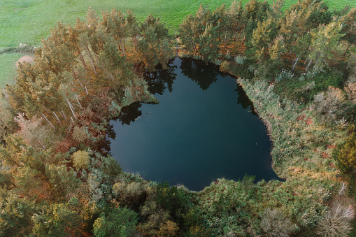 A small lake with heart shape surrounded of trees