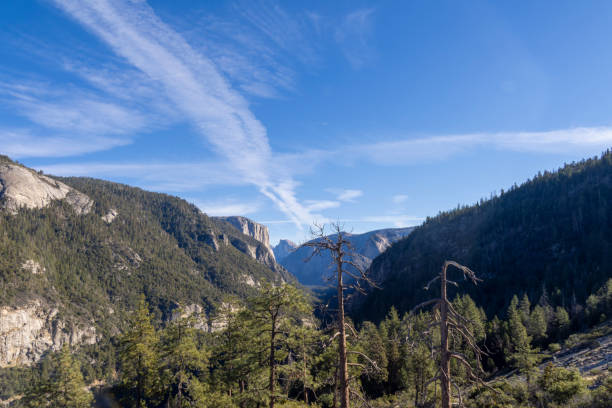 istock Burnt forest in Yosemite valley 1865222957